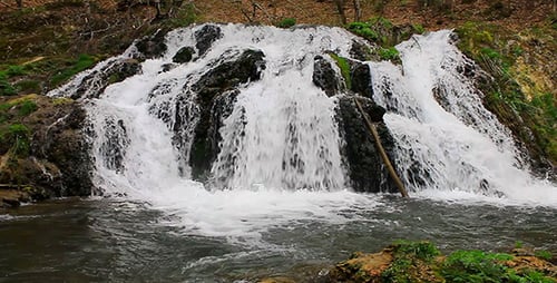 Waterfall In The Forest