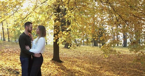 Embracing Couple Sharing a Kiss in Autumn Park