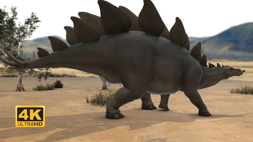 Stegosaurus Walking