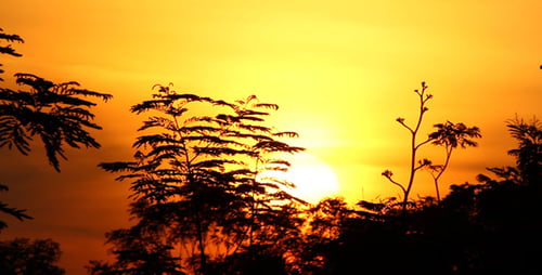 Tropischer Sonnenaufgang und Silhouette
