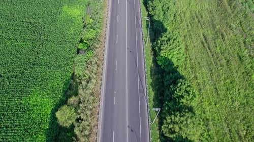 Car Driving Down an Asphalt Road Crossing the Vast Forest