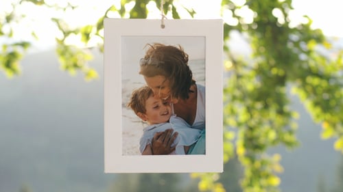 Family Tree - Photo Gallery 4K