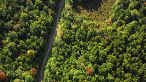 Luftaufnahmen von abgelegenen Wäldern im Norden von Maine im frühen Herbst auf einer unbefestigten Straße