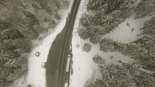 Estrada através da floresta de inverno
