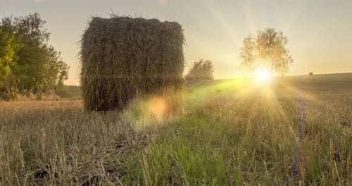 Flat Hill Meadow Timelapse at the Summer Sunset Time