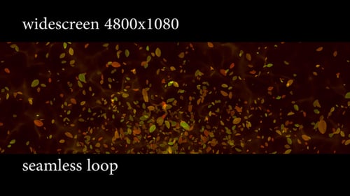 Falling Leaves Widescreen