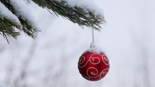 Christmas Bulb Hanging from Snow Covered Pine Branch