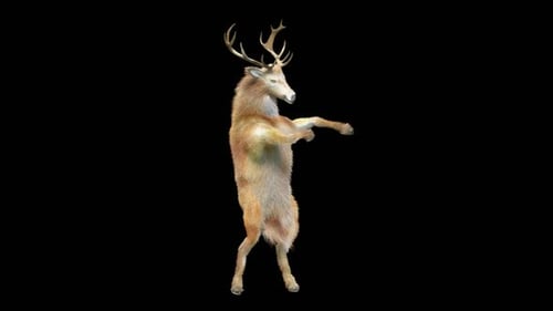 Animated 3D Deer Character Performing Funny Dance Moves