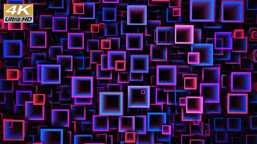 Vj Loop 4K