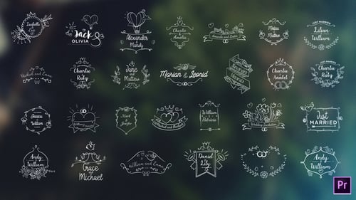 Animated Hand-Drawn Wedding Titles Pack with Elegant Script