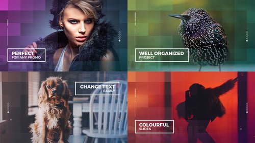 Colourful Slideshow