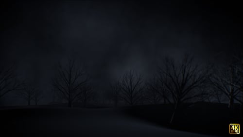 Tree On Dark Night