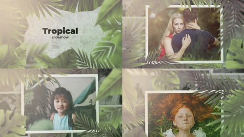 Tropical Slideshow