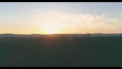 Silhouette At Sunset İn The Field 2