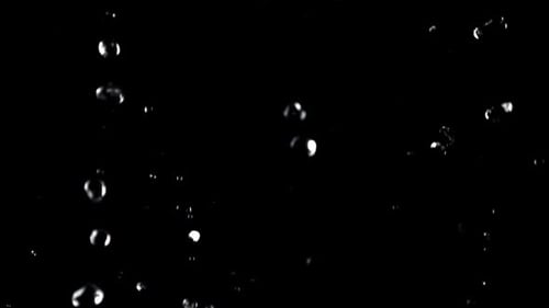 Water Droplets Fall Down