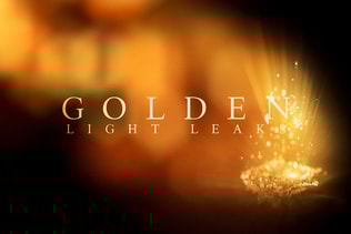 Golden Light Leaks