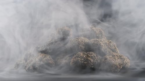 Close-up shot of cloud of smoke with cannabis marijuana buds on dark set.