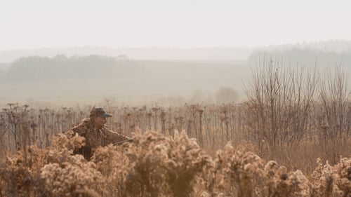 Cazador en equipo de caza con una pistola en la mano se cuela a través del arbusto en el campo