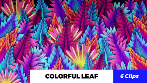 Buntes Blatt Kaleido
