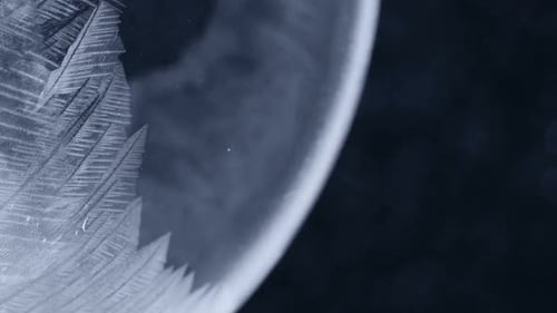 Delicate Ice Crystal Forming in Extreme Close Up