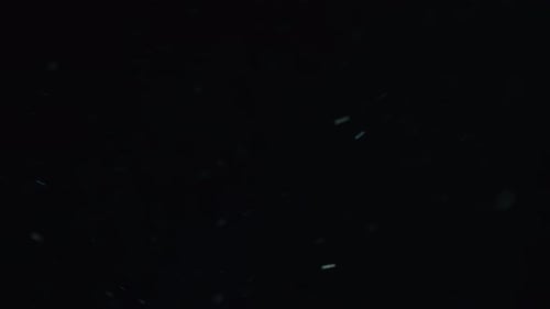 Floating Dust Particles Against Black Background
