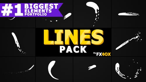 Fluid Hand-Drawn Animation Elements and Line Transitions