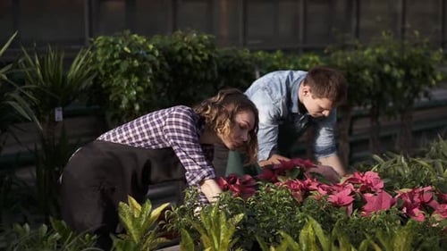 Man and Woman Gardening at Greenhouse Nursery