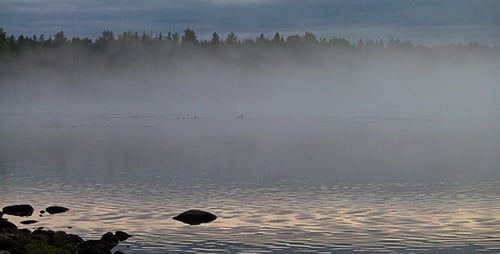 Fog On A Lake