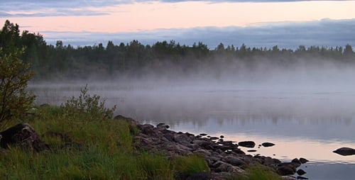 Fog And Ripples On A Lake