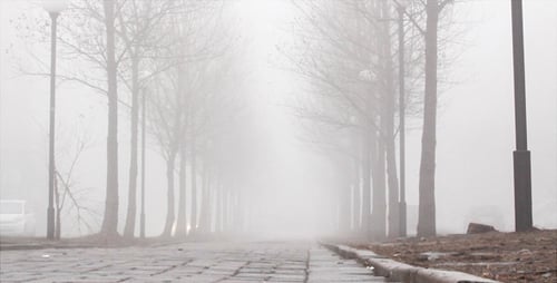 City Mist 2