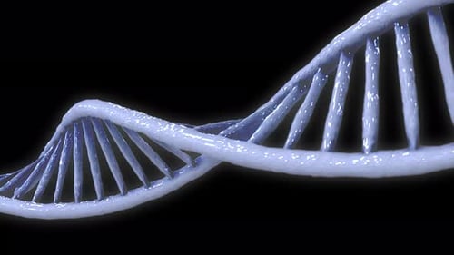 3D DNA-Stränge 4K
