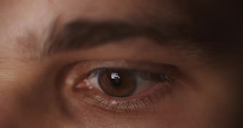 Amazing Male Green and Grey Coloured Eye