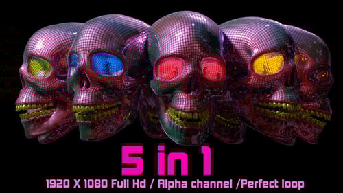 Vj Totenkopf Loop v02