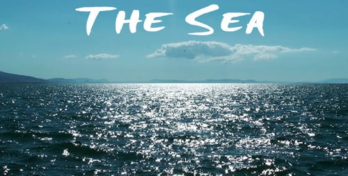 The Sea