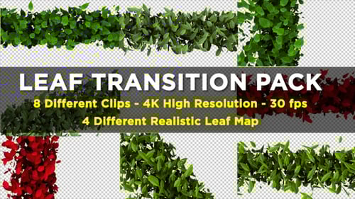 Natural Leaf Video Transitions