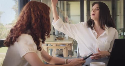 Women Discuss Business at Workplace Meeting