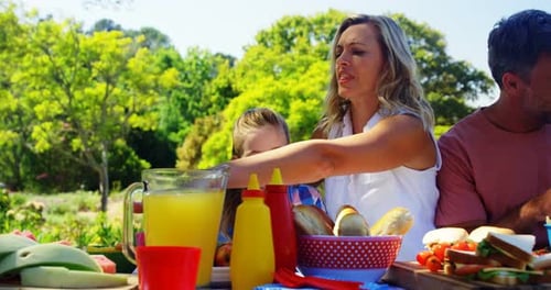 Happy family having meal in park 4k