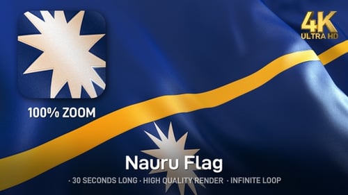 Nauru Flag Waving Realistically Seamless Loop Animation
