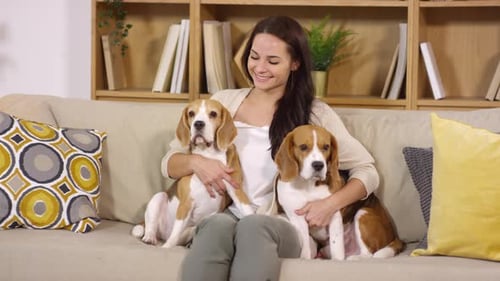 Happy Woman Cuddles Two Cute Beagle Dogs