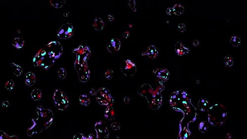 Animation de rendu 3D avec des bulles colorées transparentes qui explosent et s'envolent. Belle 3D