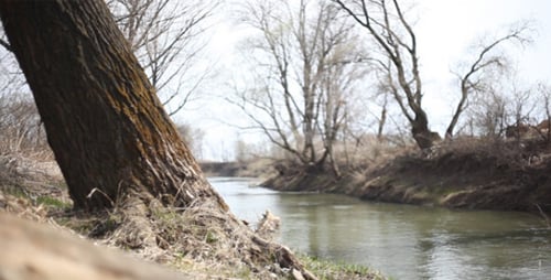 A River In The Early Spring 1