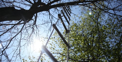 Swaying Wind Chimes in Sunlight Through Tree Branches