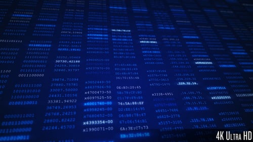 Pantalla de visualización en bucle 4K del procesamiento de datos de Internet