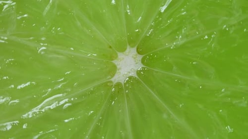 Rotating Lime Slice, Fresh Citrus Fruit Close-up