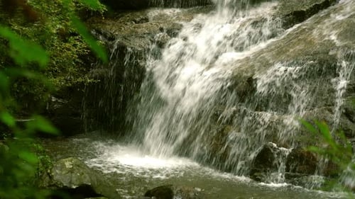 Cascade dans la forêt