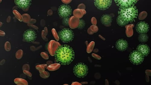 3D Animated Medical Visualization of Viruses and Red Blood Cells