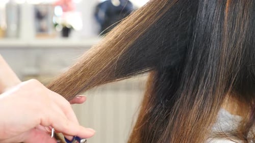 Hair Stylist Cutting Brown Hair Close Up