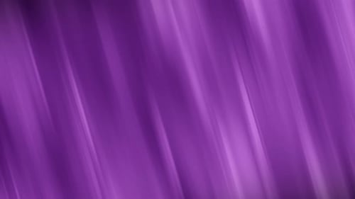 Abstract Fluid Purple Wavy Lines Looping Background