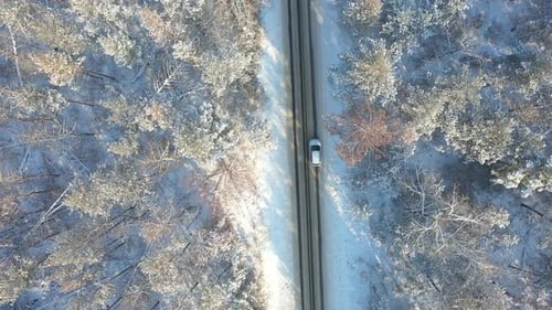 SUV dirigindo em uma bela rota rural na floresta em um dia de inverno