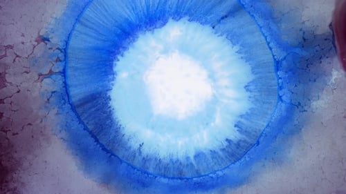 Blue and White Ink Swirls in Macro Footage
